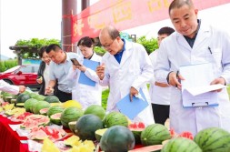 我们的吃瓜自由是怎么实现的中国人的“吃瓜自由”底气越来越足